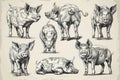 A group of pigs in various positions, perfect for agricultural or animal-related projects Royalty Free Stock Photo
