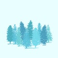 Group of pine trees