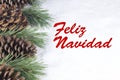 Group of pine trees and some branches with text in Spanish `Feliz Navidad` in white snow background