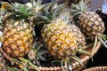 Group of pineapple on the basket in the gourmet market waiting for buyer