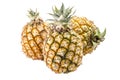 Group of pineapples isolated on white background : Clipping path Royalty Free Stock Photo