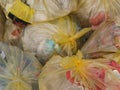 Group of plastic recycling bags