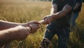 Group playing tug-of-war in field close hands on rope closeup with robust teamwork in sky light Royalty Free Stock Photo