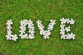 Group of Plumeria flowers lay in love letters on the grass background. Royalty Free Stock Photo