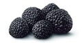 Group of plump, dark blackberries Royalty Free Stock Photo