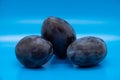 Group of plums with plum leaves isolated on a blue background Royalty Free Stock Photo