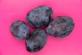 Group of plums with plum leaves isolated on a pink background Royalty Free Stock Photo