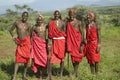 Group portrait of five Masai Warriors in traditional red toga at Lewa Wildlife Conservancy in North Kenya, Africa