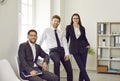 Group portrait of happy young business people or corporate employees in the office Royalty Free Stock Photo