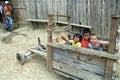 Group portrait of Latino children playing in soapbox