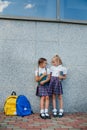 Group portrait of pre-adolescent school kids smiling in front of the school building. Back to schooll Royalty Free Stock Photo