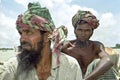 Group portrait of worrisome Bangladeshi peasants