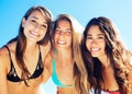 Group of Pretty Girls in Bikinis, Best Friends Royalty Free Stock Photo