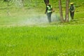 A group of public municipal workers in light green uniforms and masks mowing grass in a park with Handheld Gasoline Lawn mowers on