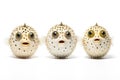 Group of puffers on white background., Fishs., Underwater animals Royalty Free Stock Photo