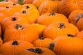 Group Pumpkin Closeup Texture Field Many Colorful Orange White G