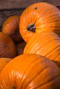 Group Pumpkin Closeup Texture Field Many Colorful Orange White G