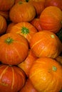 Group of Pumpkin