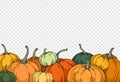 Group of pumpkins in different colors with hand draw with brush style isolated on png or transparent texture,Halloween party