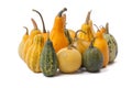 Group of pumpkins of different types and colors isolated