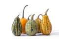 Group of pumpkins of different types and colors
