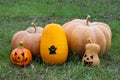 Group of pumpkins in field. Pumpkins are decorated for Halloween celebration. Autumn harvest