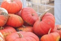group of pumpkins for halloween