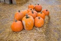 Group of pumpkins on hay on a farm.