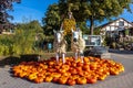 Group of pumpkins and other vegetables on the artificial animals