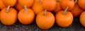 Group of pumpkins on pavements Royalty Free Stock Photo