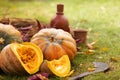 A group of pumpkins and a piece of pumpkin on straw with a cleaver, ceramic bottle and mug in the field Royalty Free Stock Photo