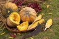 A group of pumpkins and a piece of pumpkin on straw with a cleaver, ceramic bottle and mug in the field. harvest. Colorful