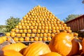 Group of pumpkins on the stand in Osnabrueck, Germany Royalty Free Stock Photo