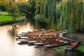 Group of punts docked on the side of rive Cam, Cambridge, UK Royalty Free Stock Photo
