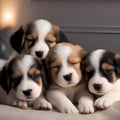 A group of puppies cuddled up together, sleeping in a pile1