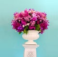 Group of purple flower decorative