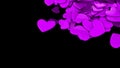 The group purple scattered hearts on a black background. Valentine`s day background