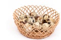 Group of quail eggs in the basket isolated over white background Royalty Free Stock Photo
