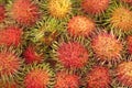 Group of rambutan famous tropical fruit Royalty Free Stock Photo