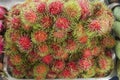 Group of Rambutan Royalty Free Stock Photo