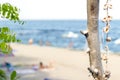 Group of rapan shells linked via rope on a tree as a decoration and sandy beach with tourists in background. Royalty Free Stock Photo