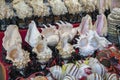 Group Of Rapana Shells Arranged, Rapana, Shells, on the shop window