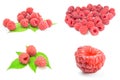 Set of ripe raspberries isolated on a white background with clipping path Royalty Free Stock Photo