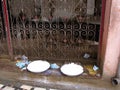 A group of rats drink milk from two containers at the Karni Mata Rat Temple in Deshnok, India