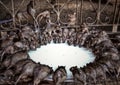 Holy rats feasting at Karni Mata temple in Deshnoke, near Bikaner, Rajasthan, northern India Royalty Free Stock Photo