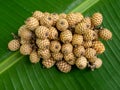 Group rattan fruit.