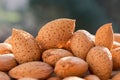 Group of raw almonds, background.  Main ingredient for nougat Sicilian Royalty Free Stock Photo