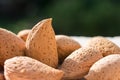 Group of raw almonds, background. Main ingredient for nougat Sicilian x Royalty Free Stock Photo