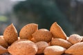 Group of raw almonds, background. Main ingredient for nougat Sicilian x Royalty Free Stock Photo