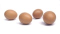 Group of raw brown chicken eggs , yellow egg photographed from the front Royalty Free Stock Photo